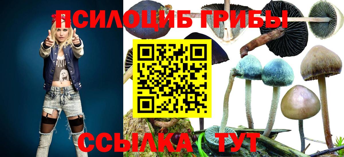 Псилоцибиновые грибы мицелий  Вход с VPN  Дербент 